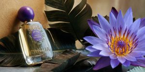 LOTUS BLEU PARFUM ÉGYPTE 100ML ANUJA PARIS 100% Essences Botaniques Made in France avec une fleur de Lotus Bleu au Caire.