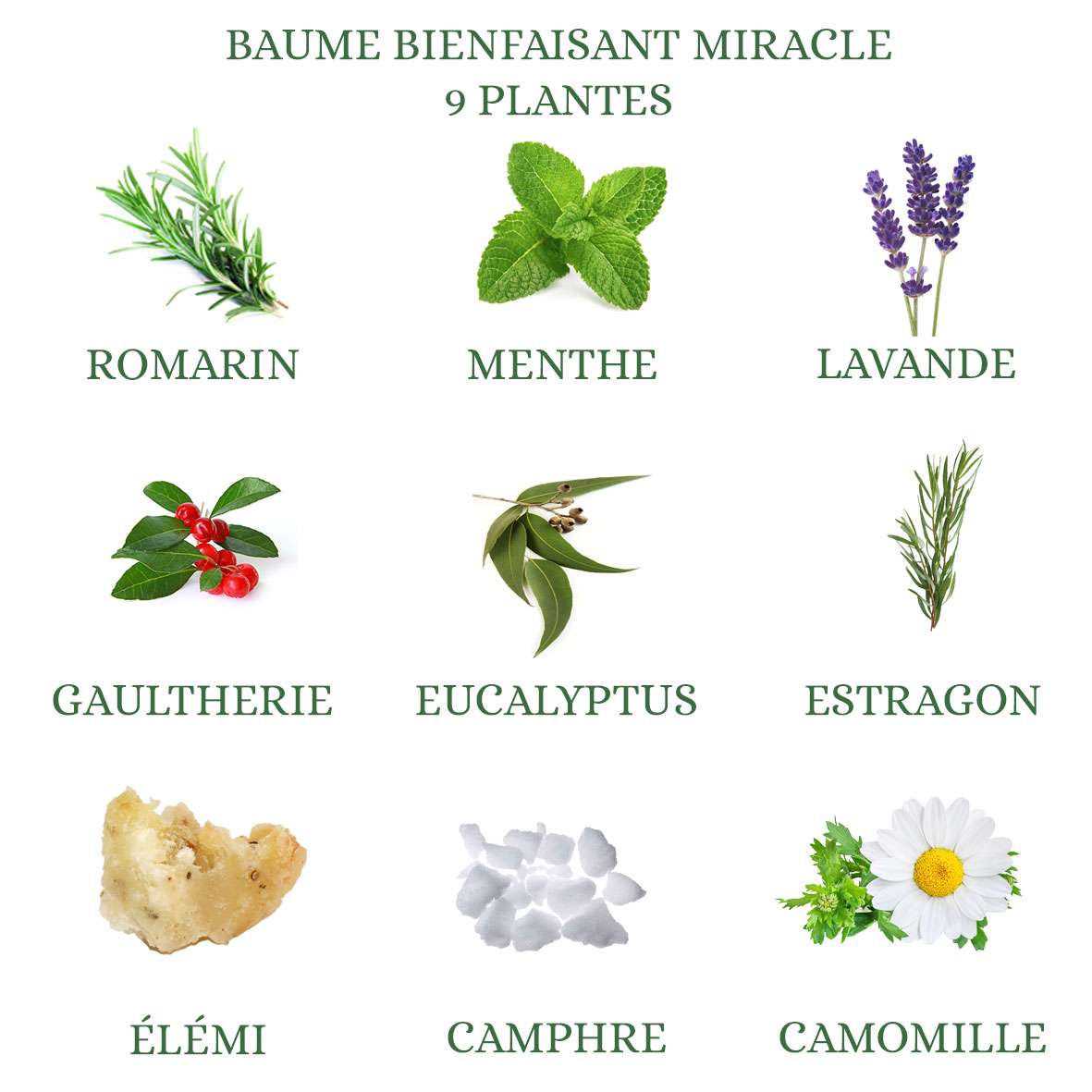 Les neuf plantes aromatiques du Baume Bienfaisant Miracle