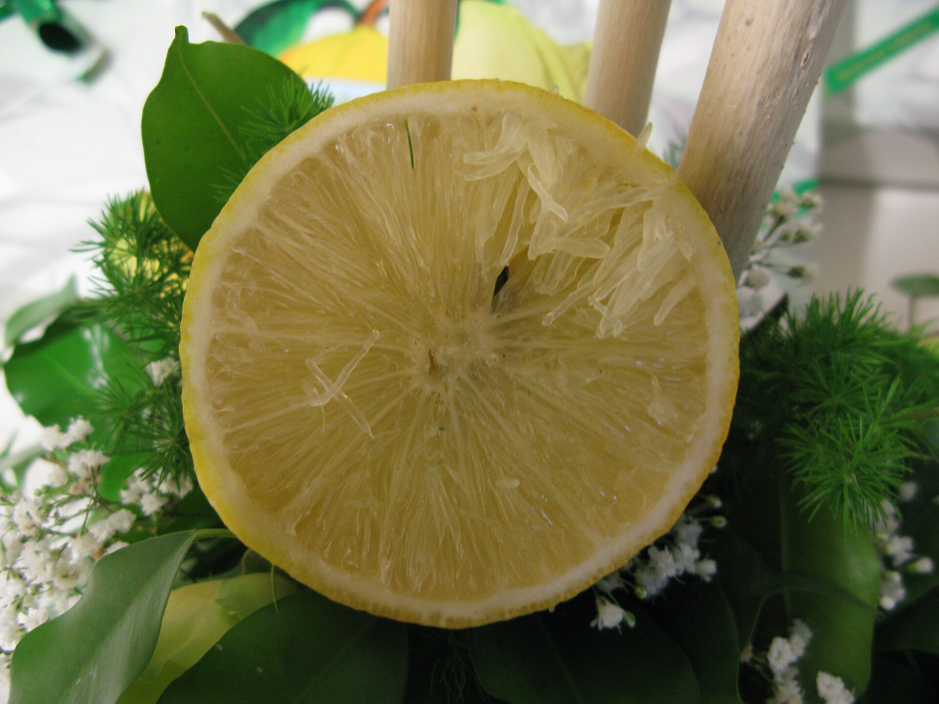 Bergamote coupée en deux montrant l'épais zeste qui contient l'huile essentielle