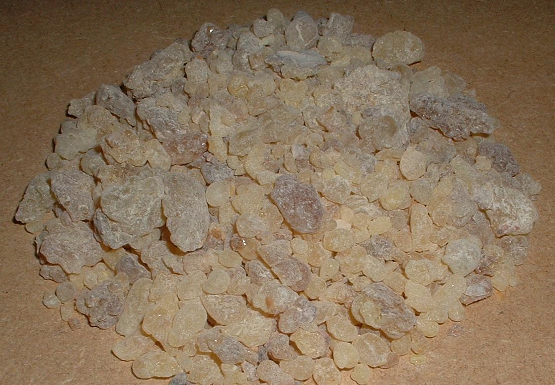 Larmes de résine d'encens oliban du Dhofar à Oman, utilisées pour distiller l'huile essentielle d'encens