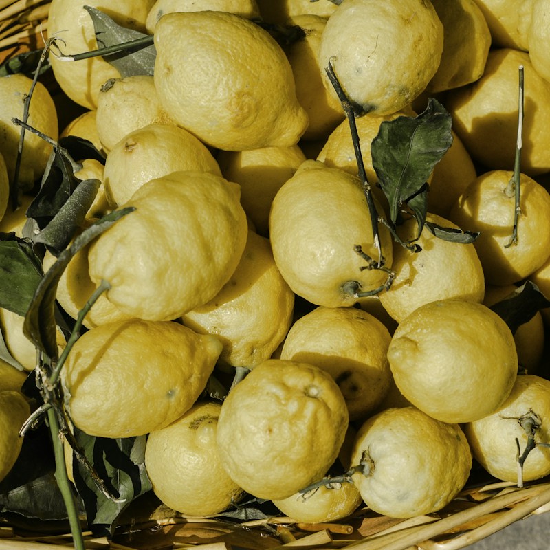 Bergamote, ingrédient naturel des parfums Anuja Paris